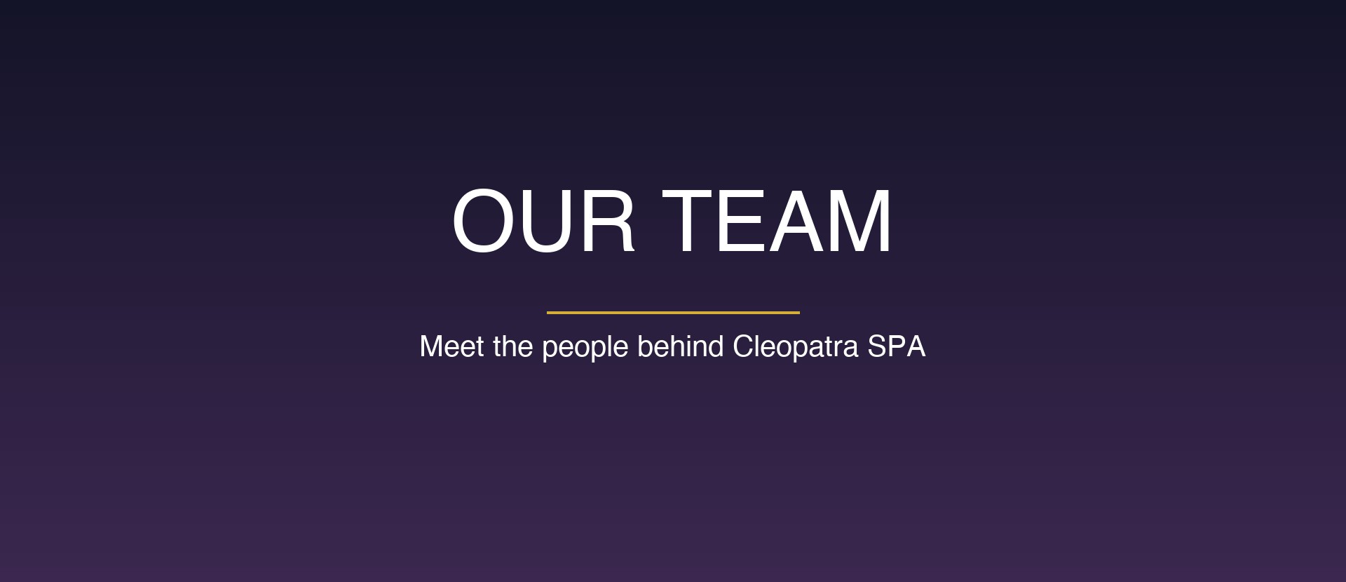 Our Team